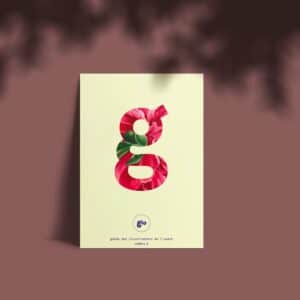 Gio n°5 . Guide des Illustrateurs de l'Ouest